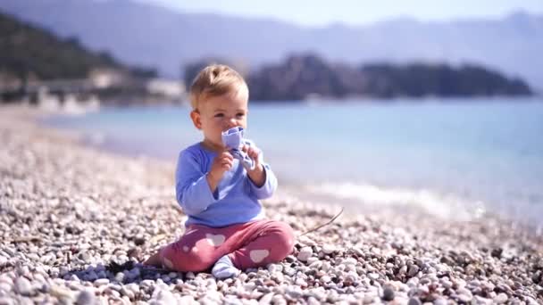 아이들은 조약돌 해변에 앉아서 양말을 가지고 놉니다 고품질 — 비디오