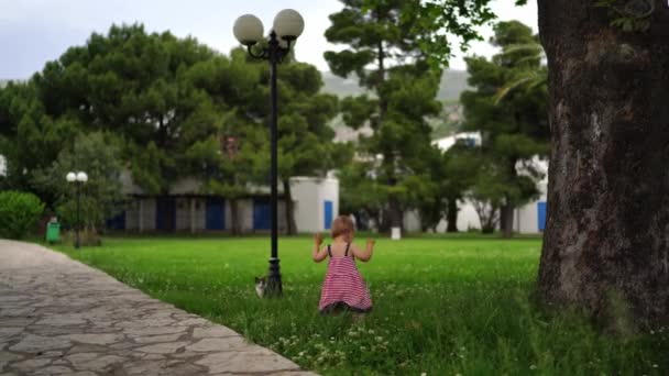Mała Dziewczynka Idzie Balansując Ramionami Zielonej Trawie Kotów Wysokiej Jakości — Wideo stockowe