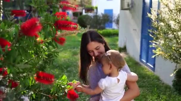 Mãe Com Uma Menina Seus Braços Fica Perto Arbusto Callistemon — Vídeo de Stock