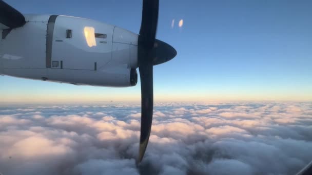 Turboprop Eines Flugzeugs Das Über Kumuluswolken Fliegt Hochwertiges Filmmaterial — Stockvideo