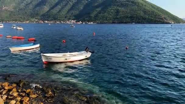 漁船は岩の多い海岸近くの係留場で波に揺られている 高品質4K映像 — ストック動画