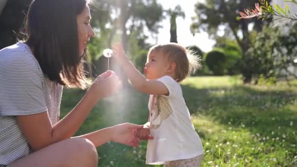 Maman Fait Sauter Pissenlit Sur Une Petite Fille Dans Parc — Video