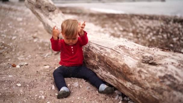 Маленькая Девочка Сидит Пляже Заливает Песок Возле Большого Ствола Дерева — стоковое видео