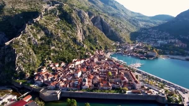 Переселіть Місто Котор Березі Затоки Біля Зелених Гір Чорногорія Кадри Стоковий Відеоролик