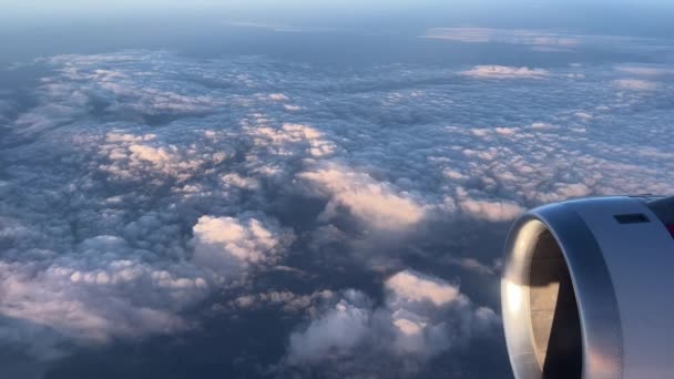 Αεροπλάνο Άποψη Του Πυκνού Νέφους Στο Φως Του Ήλιου Υψηλής — Αρχείο Βίντεο