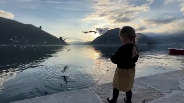 Gadis Kecil Memberi Makan Roti Untuk Burung Camar Berdiri Dermaga — Stok Video