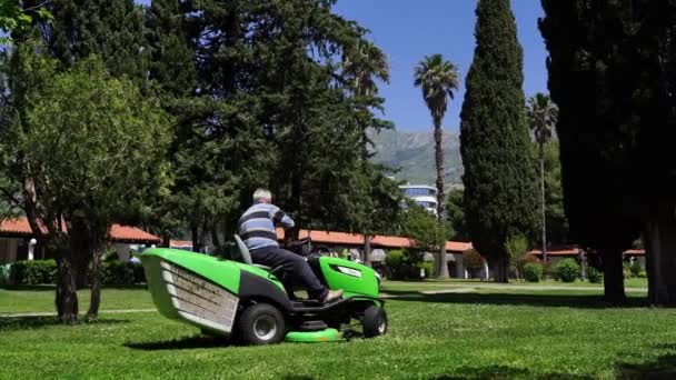 Gardener Rides Lawn Mower Park Mows Grass High Quality Footage — Stock Video