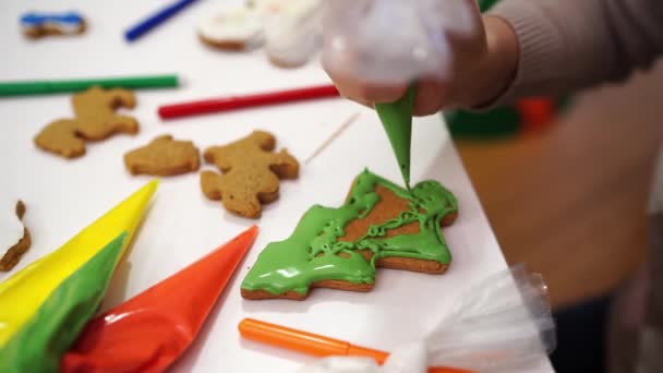 쿠키는 페이스트리 가방과 크리스마스 쿠키에 아이싱을 적용합니다 고품질 — 비디오
