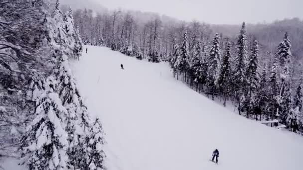 Ağaçların Arasından Dağdan Inen Kayakçıların Kayak Asansörünün Görüntüsü Yüksek Kalite — Stok video