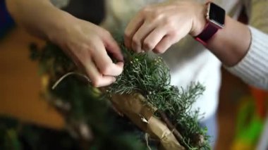 Dekoratör kozalaklı dalları Noel çelenginin yuvarlak çerçevesine bağlar. Yüksek kalite 4k görüntü