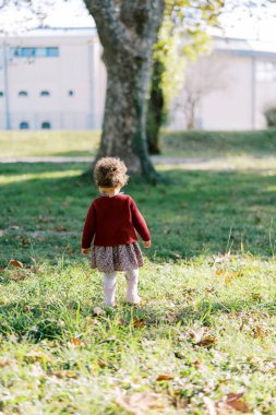 Küçük kız sonbahar parkında bir ağaca doğru yürüyor. Arkadan bak. Yüksek kalite fotoğraf