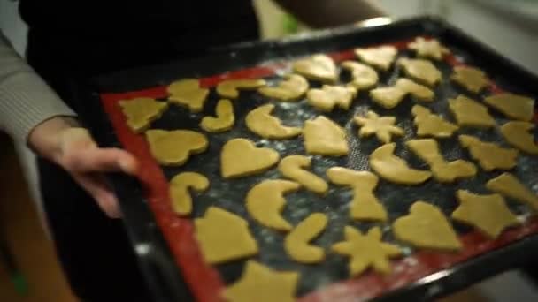 Casalinga Mette Una Teglia Con Biscotti Natale Nel Forno Filmati Video Stock Royalty Free
