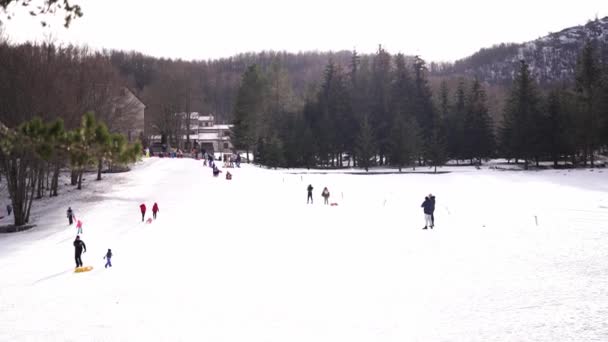 父母们带着孩子在公园的小山上的树间滑行 高质量的4K镜头 — 图库视频影像