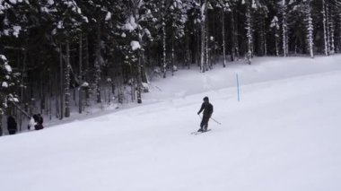 Çubuklu kayakçı Kolasin 1600 Kayak Merkezi 'nde karlı bir dağdan aşağı kayıyor. Yüksek kalite 4k görüntü