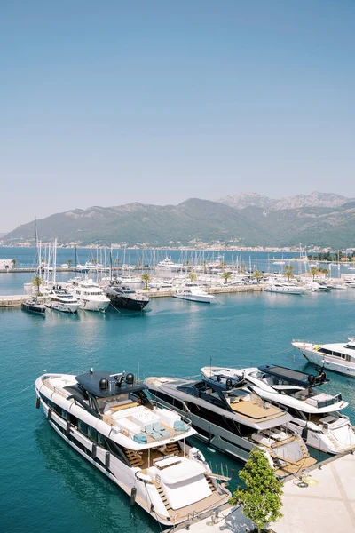 Çatıda güneşli şezlongları olan çift katlı yatlar lüks bir marinanın iskelesine demirlemiş durumda. Yüksek kalite fotoğraf