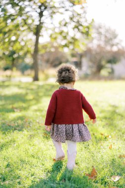 Küçük kız düşen yaprakların arasında sonbahar parkında yürüyor, ayaklarının altına bakıyor. Arkadan bak. Yüksek kalite fotoğraf