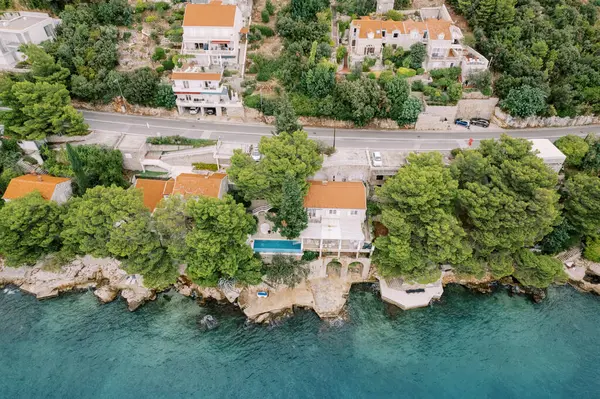 Kayalık bir sahilde yeşil ağaçların arasında havuzu olan bir villa. Hırvatistan. Drone. Yüksek kalite fotoğraf