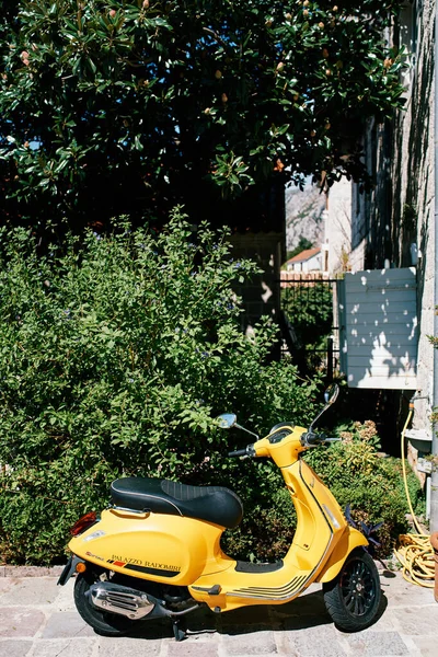 Yellow motor scooter stands near a green bush near an old house with wooden open shutters. High quality photo