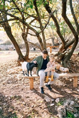 Babası küçük kızı ve yanında bir kitapla bankta oturan bir keçiyi okşar. Yüksek kalite fotoğraf