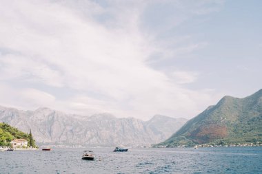 Kotor Körfezi boyunca yeşil dağların arka planına doğru yelken açan sürat tekneleri. Karadağ. Yüksek kalite fotoğraf