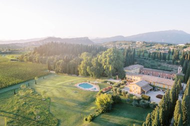 Villa Cordevigo yakınlarında yeşil ağaçların ve üzüm bağlarının arasında yüzme havuzu ve arka planda dağlar. İtalya. Drone. Yüksek kalite fotoğraf