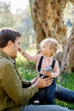 Küçük kız elinde sarı bir dalla babasının kucağına oturur ve burnunu gıdıklar. Yüksek kalite fotoğraf