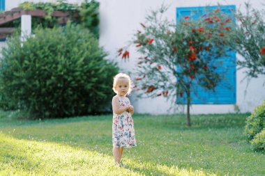 Küçük kız evin yakınındaki bahçede çiçek açan kırmızı bir çalılığın yanında duruyor. Yüksek kalite fotoğraf