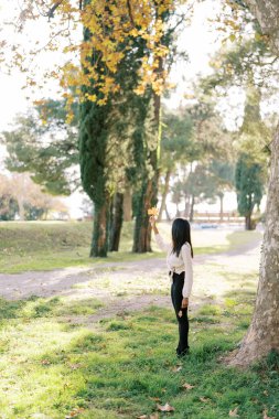 Genç bir kadın sonbahar parkında duruyor ve kaldırdığı elinde sarı bir yaprak tutuyor. Arkadan bak. Yüksek kalite fotoğraf