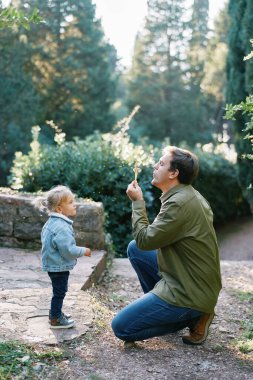Babam ormanda yanında duran küçük bir kıza karahindiba üflüyor. Yüksek kalite fotoğraf