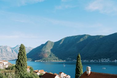 Kotor Körfezi 'ndeki evlerin çatılarını yeşil dağların arkaplanına bakın. Karadağ. Yüksek kalite fotoğraf