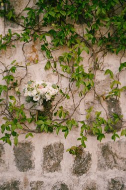 Düğün buketi eski bir taş bina boyunca yeşil sarmaşık dallarına takılır. Yüksek kalite fotoğraf