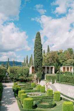 Süslü çalıları ve ağaçları olan yeşil bir bahçe. Yüksek kalite fotoğraf