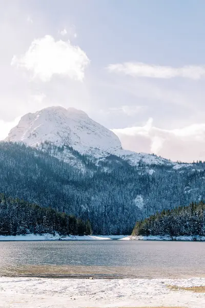 Dağın eteğindeki karla kaplı kozalaklı bir ormanın içindeki kara göl. Durmitor Ulusal Parkı, Karadağ. Yüksek kalite fotoğraf
