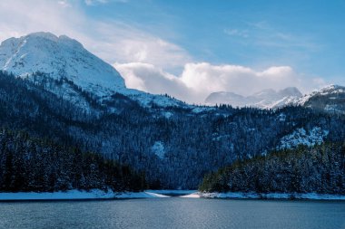 Kara Göl kıyısındaki Kara Dağ yamacında karlı bir orman. Durmitor Ulusal Parkı, Karadağ. Yüksek kalite fotoğraf