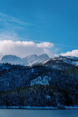 Kara Göl kıyısında, sisli dağların eteğinde karlı bir orman. Durmitor Ulusal Parkı, Karadağ. Yüksek kalite fotoğraf