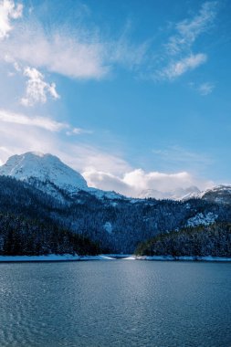 Kara Göl kıyısındaki karlı orman. Durmitor Ulusal Parkı, Karadağ. Yüksek kalite fotoğraf