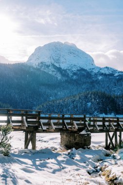 Kara Göl 'ün yakınındaki tahta köprü. Durmitor Ulusal Parkı, Karadağ. Yüksek kalite fotoğraf