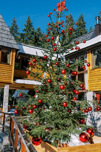 Kırmızı toplarla süslenmiş Noel ağacı ve ahşap bir kulübenin avlusunda bir fiyonk duruyor. Yüksek kalite fotoğraf