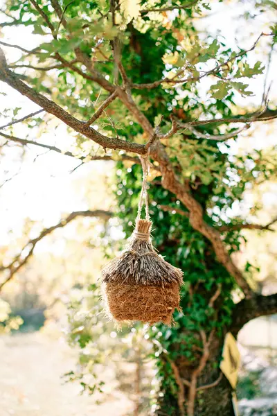 Straw wicker nest hanging on a tree branch in the park. High quality photo