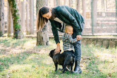 Küçük kız parkta köpeğini okşamak için eğilirken annesinin bacaklarına sarılıyor. Yüksek kalite fotoğraf