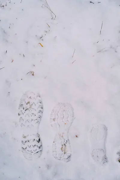 Shoe prints of mom, dad and little child in the snow. High quality photo