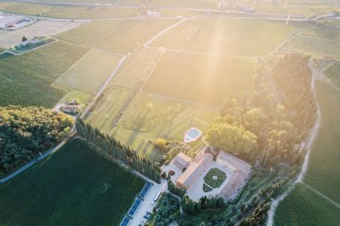 Antik Villa Cordevigo yakınlarında yeşil alanlar. Veneto, İtalya. Drone. Yüksek kalite fotoğraf