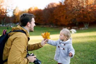 Babam boynunda bir kamerayla sonbahar parkında küçük bir kıza sarı yapraklar uzatıyor. Yüksek kalite fotoğraf