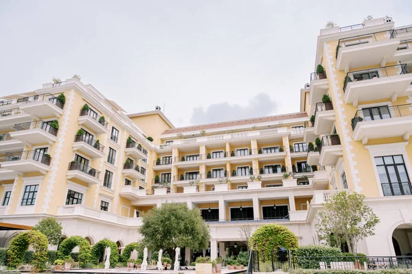 Grøn Have Tæt Det Luksuriøse Regent Hotel Porto Montenegro Høj Stock-billede