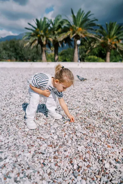 Gadis Kecil Mengumpulkan Kerikil Pantai Bersandar Depan Foto Berkualitas Tinggi — Stok Foto
