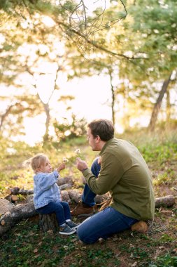 Baba ve küçük kız odunların üzerine oturur ve ellerinde karahindiba üflerler. Yüksek kalite fotoğraf