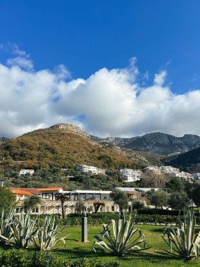 Dağların eteğindeki evin önündeki yeşil bir çayırda devasa agave çalıları yetişiyor. Yüksek kalite fotoğraf