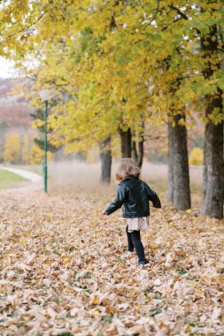 Küçük kız parktaki kurumuş yaprakların arasından koşup kollarını sallıyor. Arkadan bak. Yüksek kalite fotoğraf
