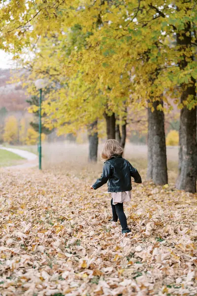 Mała Dziewczynka Biegnie Suchych Liściach Parku Machając Rękami Widok Tyłu Obraz Stockowy