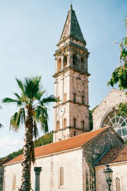 Yüksek çan kulesi olan eski Aziz Niklas kilisesinin yanında yeşil palmiye ağacı yetişir. Perast, Karadağ. Yüksek kalite fotoğraf